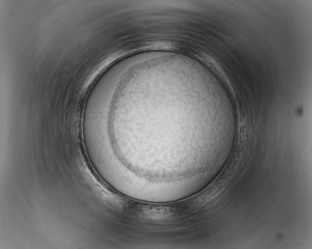 X0000115780851200911271202