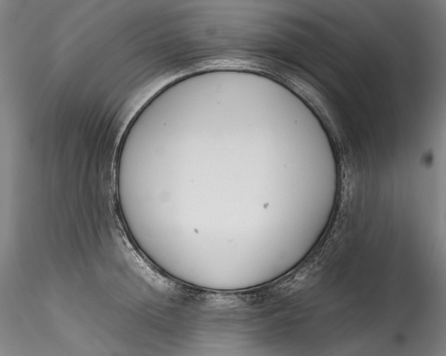 X0000115780852200911271202