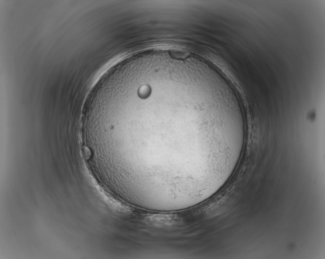 X0000115780853200911271202