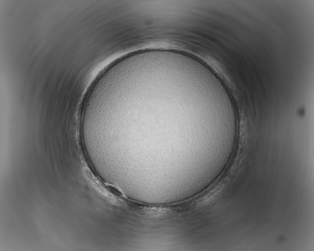 X0000115780854200911271202