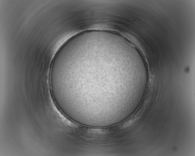 X0000115780855200911271202