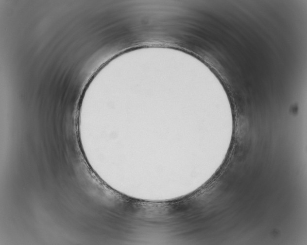 X0000115780856200911271203