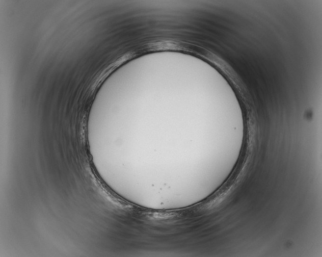 X0000115780857200911271203