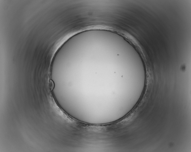 X0000115780860200911271203