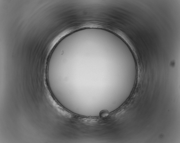 X0000115780861200911271203