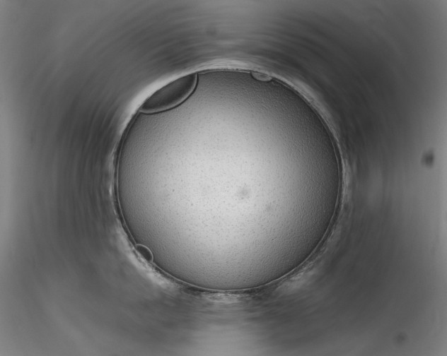 X0000115780862200911271203