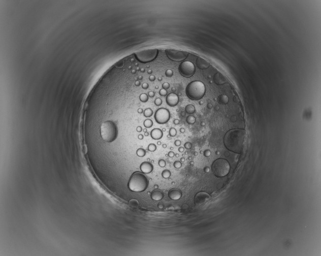 X0000115780863200911271203