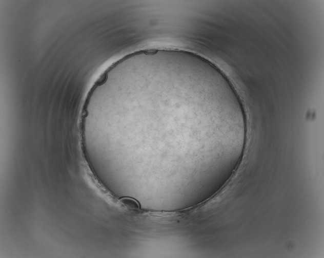 X0000115780864200911271203