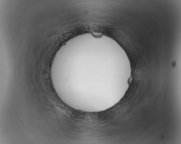 X0000115780865200911271202