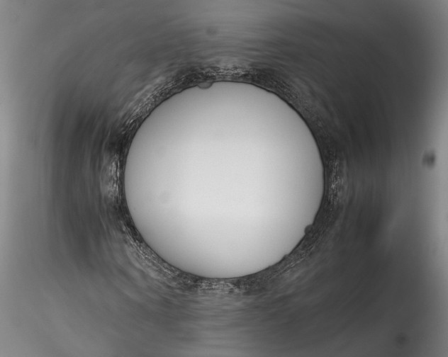 X0000115780866200911271202