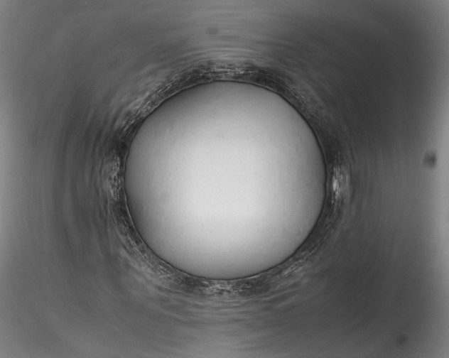 X0000115780867200911271202