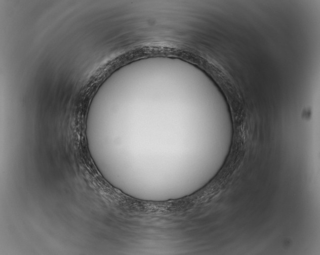 X0000115780870200911271202