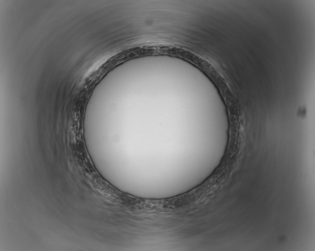 X0000115780871200911271202