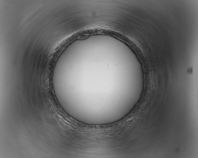 X0000115780872200911271202