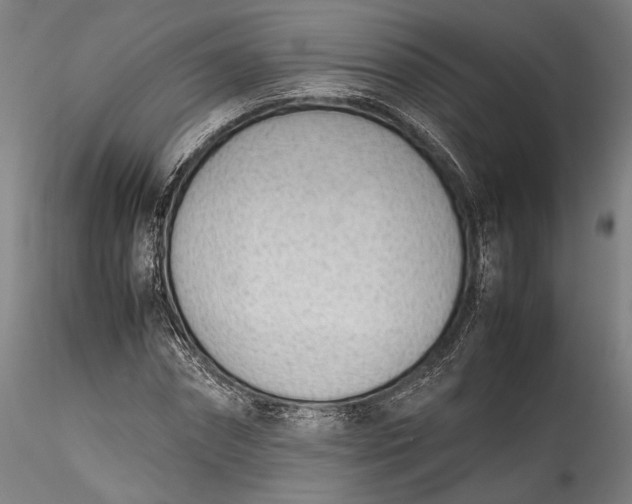 X0000115780874200911271202