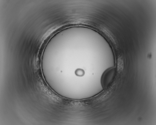 X0000115780876200911271202