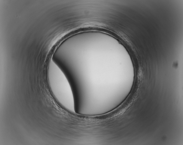 X0000115780877200911271202