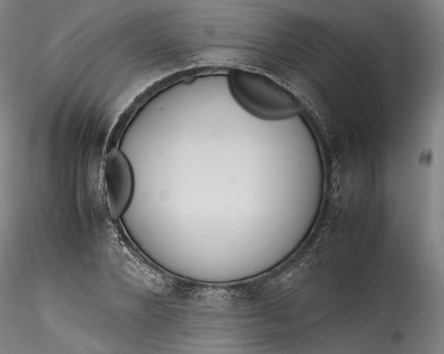 X0000115780880200911271202