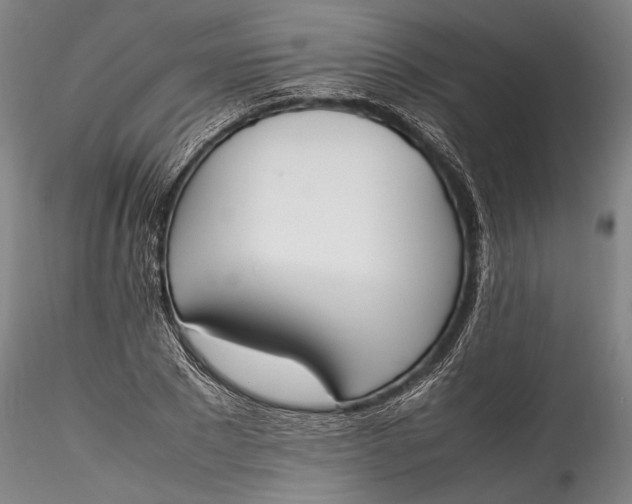 X0000115780881200911271202