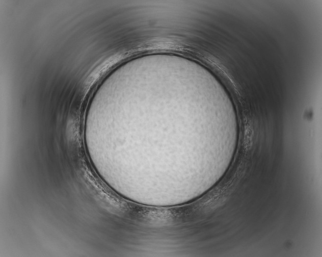 X0000115780882200911271202