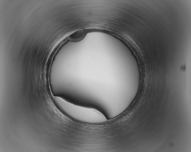 X0000115780884200911271202