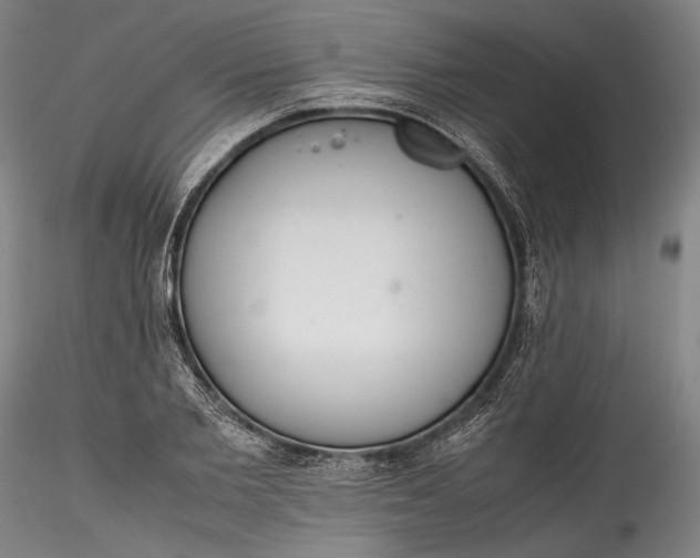 X0000115780885200911271202