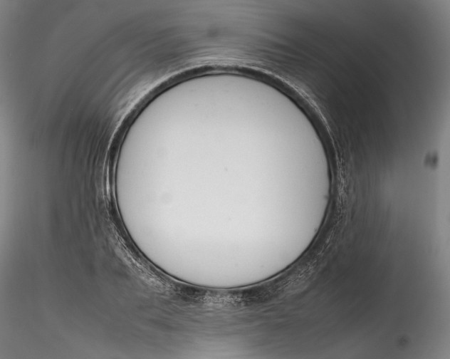 X0000115780887200911271202