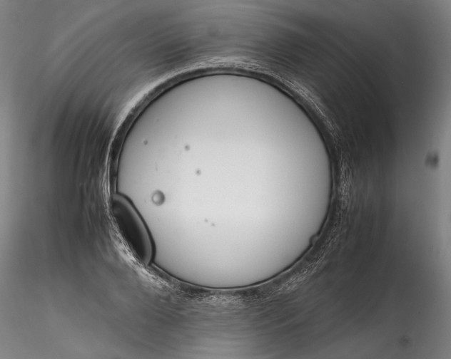 X0000115780888200911271202