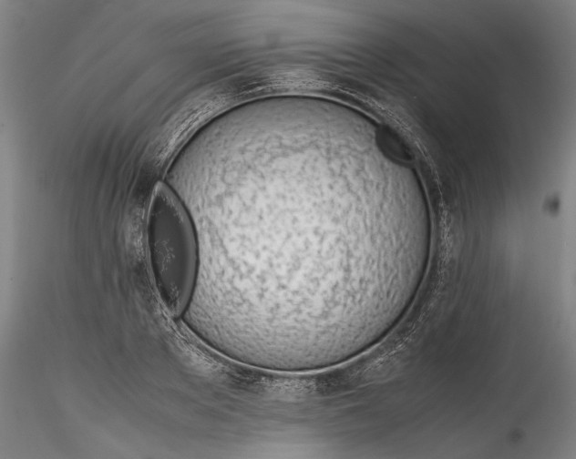 X0000115780889200911271202