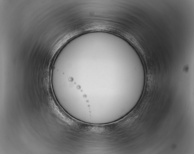 X0000115780890200911271202