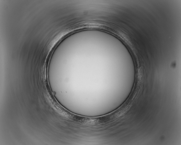 X0000115780891200911271202