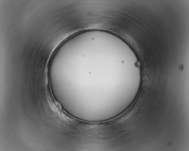 X0000115780892200911271202