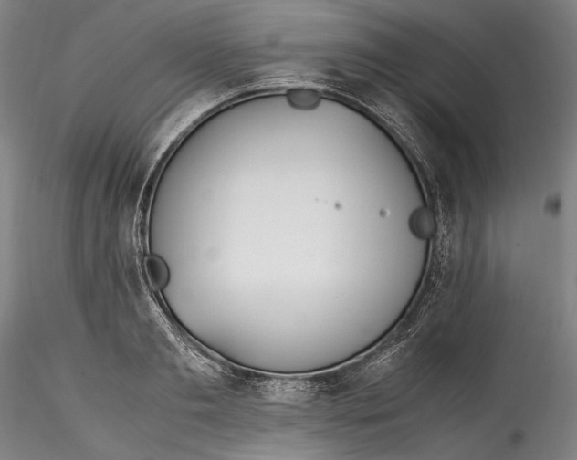 X0000115780893200911271201