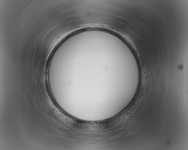 X0000115780895200911271201