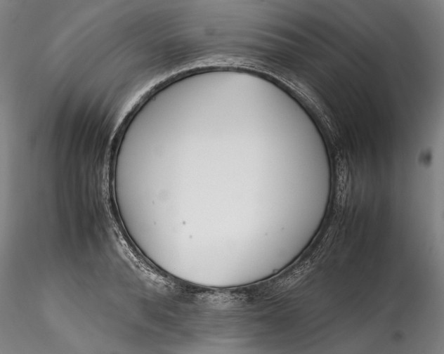 X0000115780896200911271201