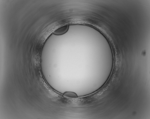 X0000115780897200911271201