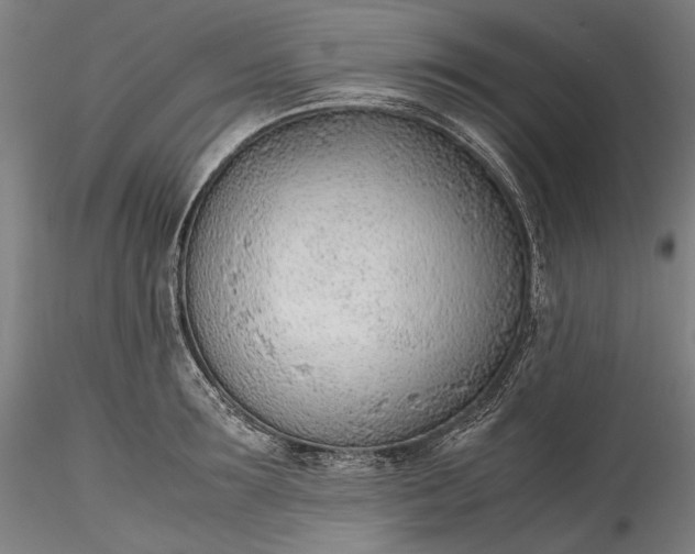 X0000115780899200911271201