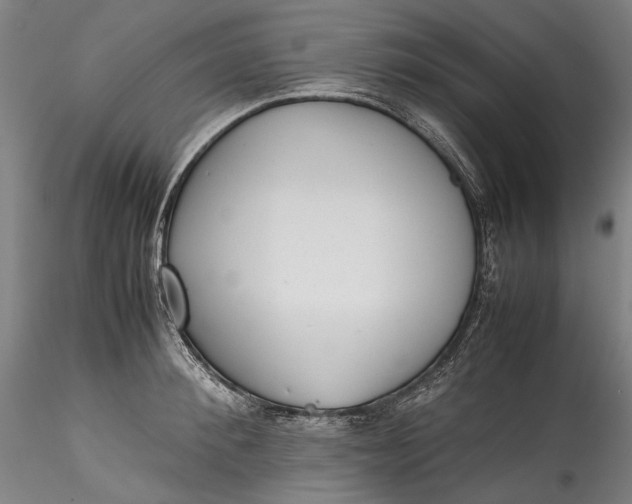 X0000115780900200911271201