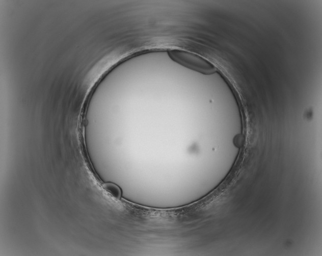 X0000115780901200911271201