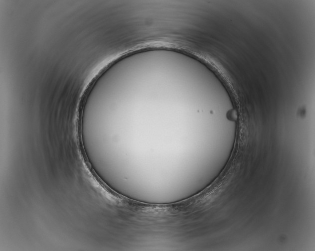 X0000115780902200911271201