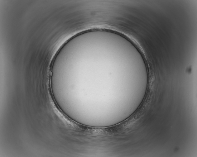 X0000115780903200911271201