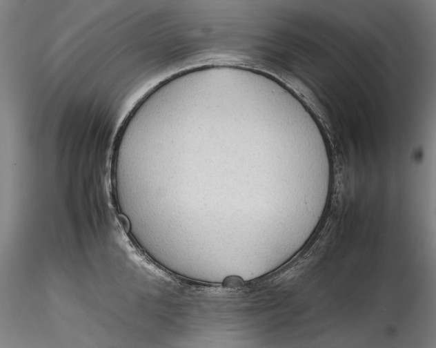 X0000115780904200911271201