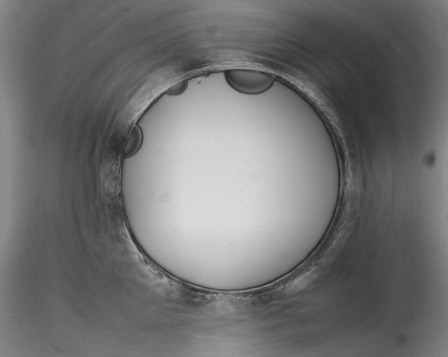 X0000115780905200911271201