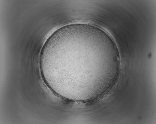 X0000115780907200911271201