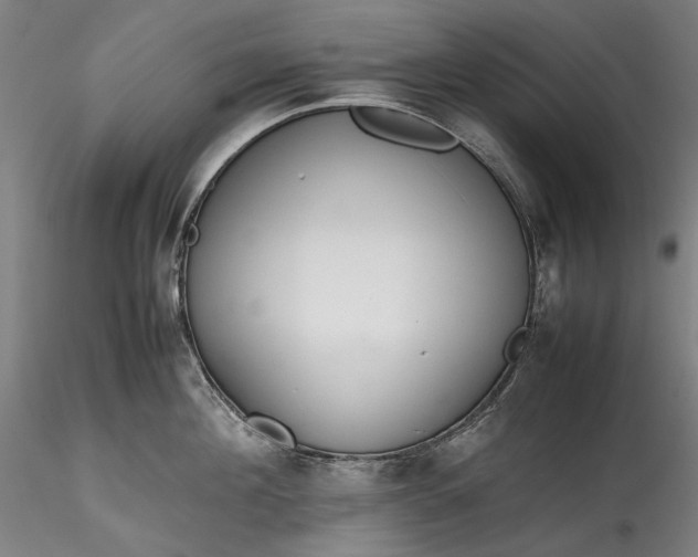 X0000115780908200911271201