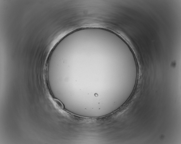 X0000115780909200911271201