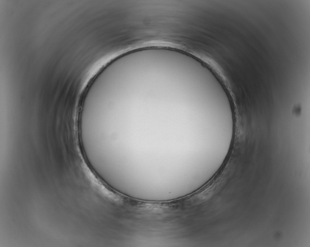 X0000115780910200911271201