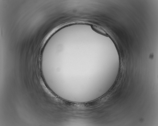 X0000115780911200911271201