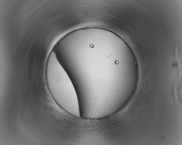 X0000115780912200911271201