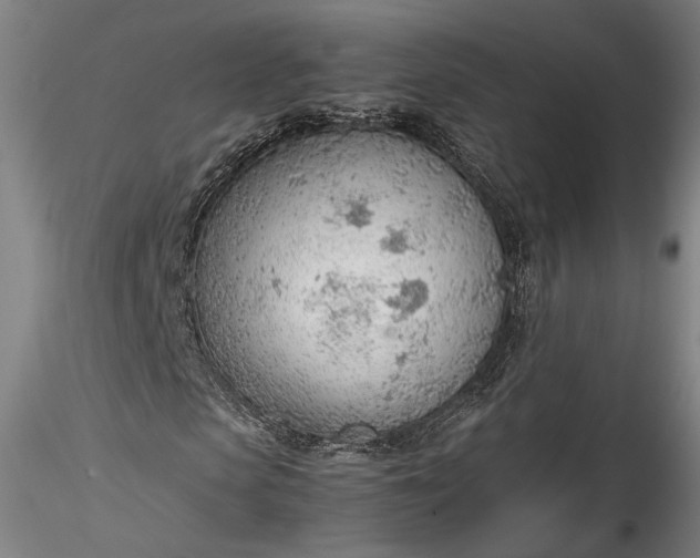 X0000115780913200911271201